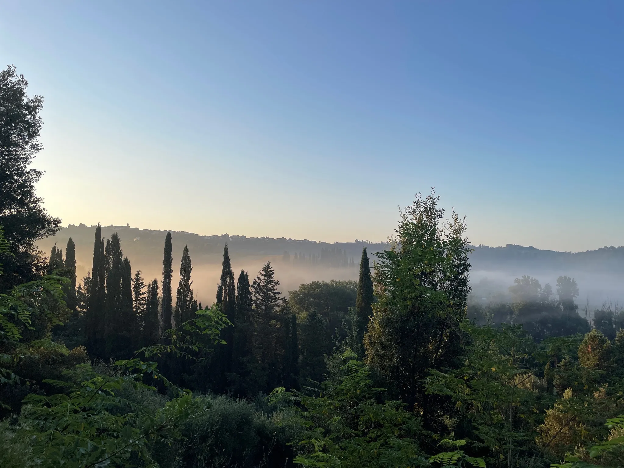 Vineyards image